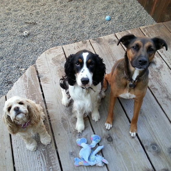 Meet your Posher, Erin - Picture 2 of 6